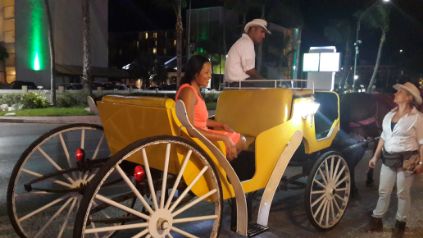 How to save US$1,700.00 in 10 months to travel - Horse and Carriage ride in Aruba