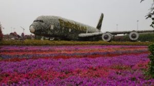 Miracle Garden - Dubai U. Female Solo travels in the Middle EastA.E.