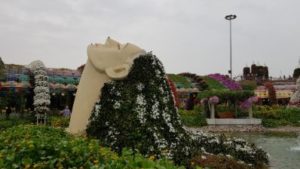 Miracle Garden - Dubai U.A.E. Female Solo travels in the Middle East