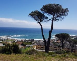 Sea Point - Cape Town South Africa. female solo traveller in Africa