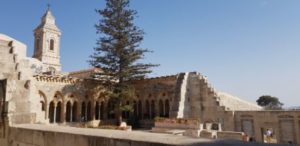 The Garden of Gethsemane -Jerusalem Israel. Female Solo travels in the Middle East