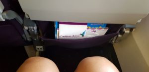 egroom on Caribbean Airline (smaller airline)