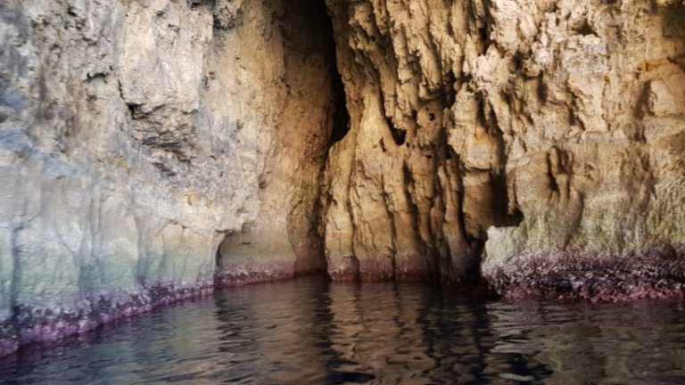 Check the colorful corals on the rocks, Malta - where Europe meets the Caribbean