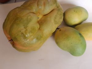 Barbadine/Granadilla and Mangoes, the main ingredients for my homemade Ice cre. 20 positives effects of the Covid-19 pandemic am