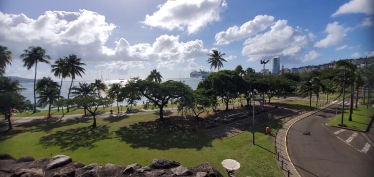 A view of the city's green spaces from Fort-St.-Louis. Martinique, the Caribbean Island of Flowers