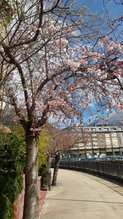 Beautiful Parc Central. Andorra, the country of the Pyrenees
