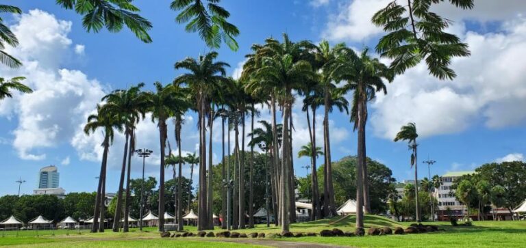 Beautiful green spaces and parks downtown Fort-de-France. Martinique, the Caribbean Island of Flowers