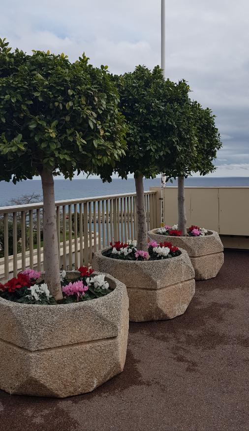 Beautiful potted plants on the Esplanade. Monaco, the second-smallest country on earth.