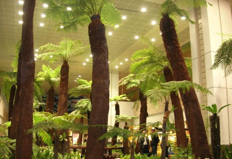 Changi Airport Singapore. top 10 favourite travel destinations