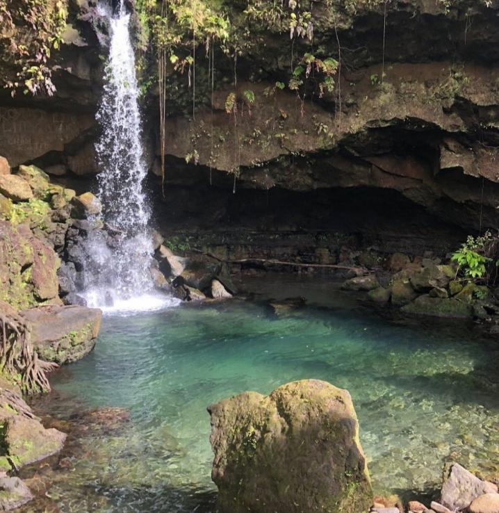 Emerald Pool. Dominica, the Nature Island of the Caribbean.