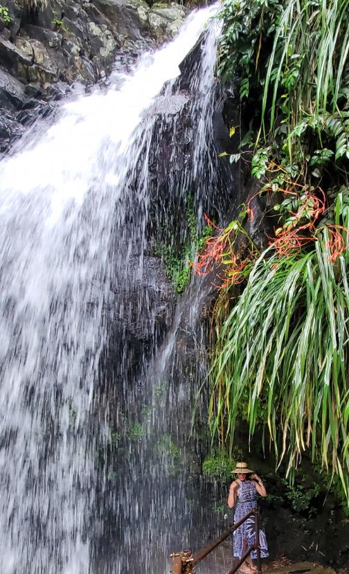 Enjoying the Annandale Water Fall .Grenada, the Spice Isle of the Caribbean
