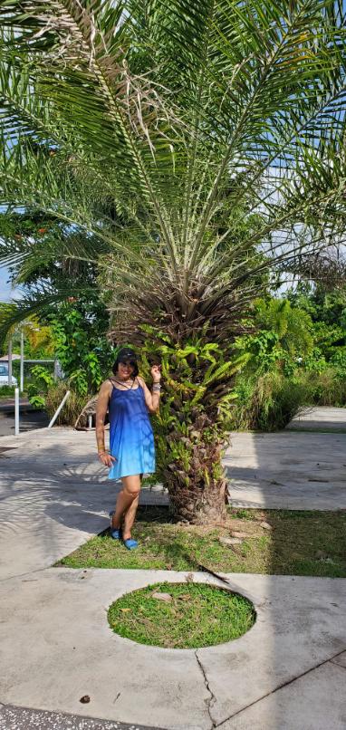 Guadeloupe, the butterfly-shaped isles of the Caribbean