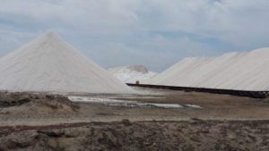 Salt Flats/Lake - Kranlendijk Bonaire. solo travel in Caribbean and Americas