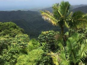 View for the Yokahu Observation Tower – Puerto Rico