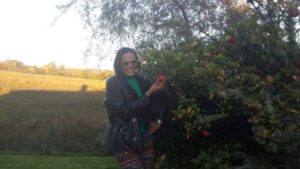 Picking apples at friend’s apple tree