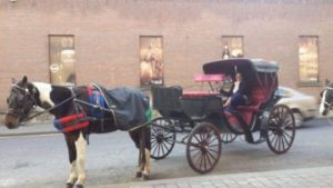 Horse and Carriage at the Guinness Factory - Dublin Ireland