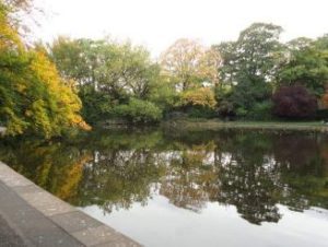 St. Stephens Green park – Dublin Ireland. Female solo travels in Europe