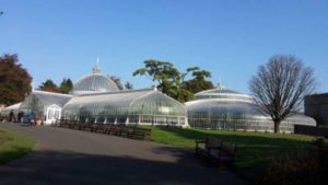 Glasgow Botanical Garden - Scotland. Female solo travels in Europe