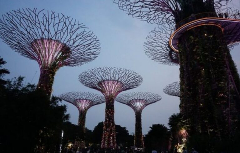 Gardens by the Bay, at dawn - Singapore/ 12 must-see bucket list countries
