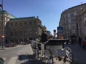Historic Center - Vienna Austria