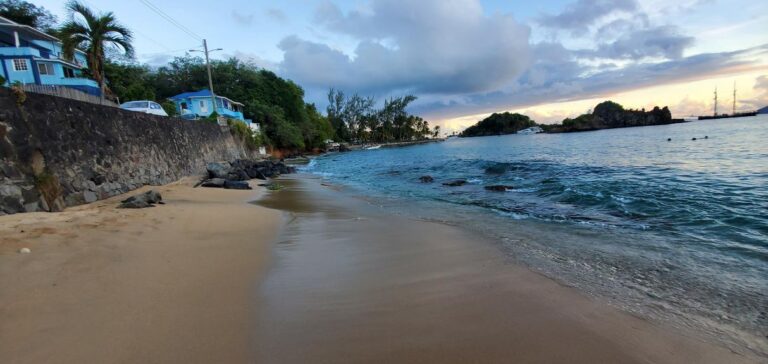 Indian Bay Beach with golden sands. St. Vincent and the Grenadines the Gem of the Antilles