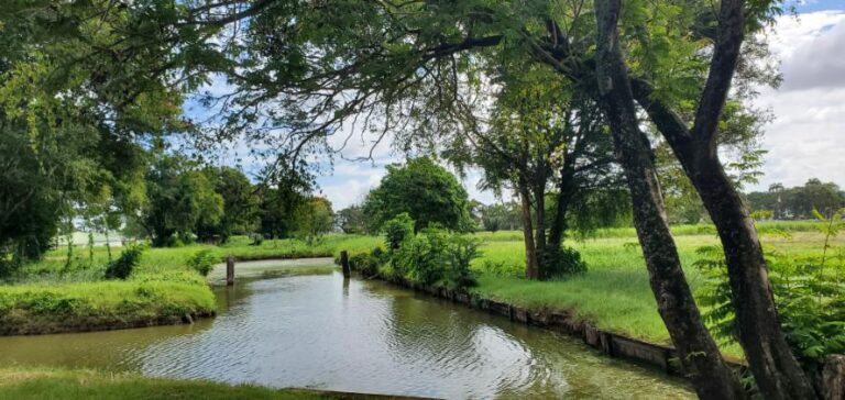 Lakes with Manatees at Guyana National Park. Guyana, the Land of Many Waters