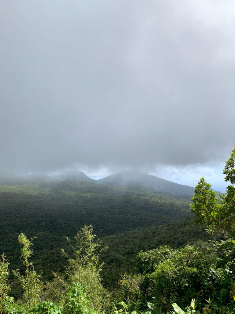 Morne Diablotins. Dominica, the Nature Island of the Caribbean.