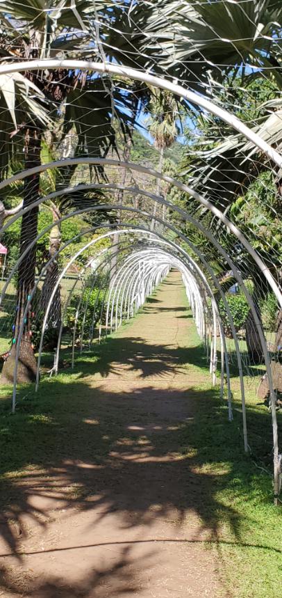 Nine Mornings props at the Botanical Gardens. St. Vincent and the Grenadines the Gem of the Antilles