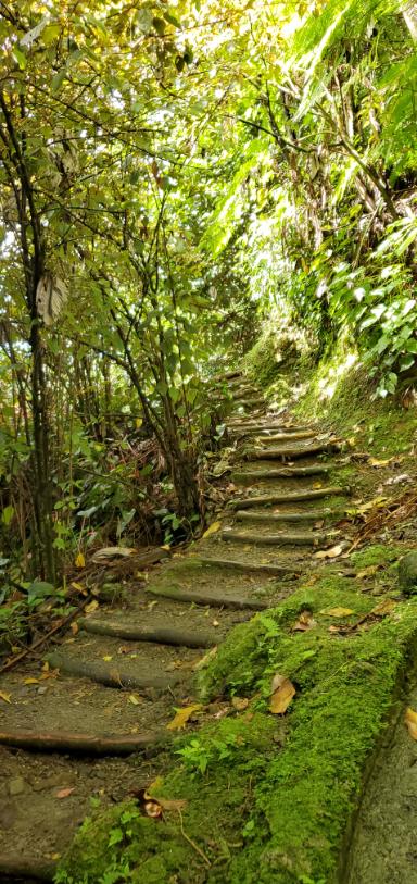 Pathways at Watton Waven Sulphur Spring. Dominica, the Nature Island of the Caribbean.