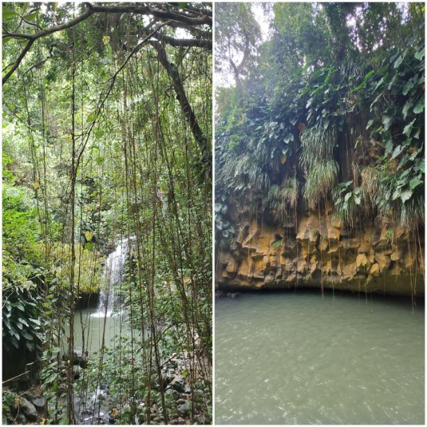 At the Annandale Waterfall and Forest Park. Grenada, the Spice Isle of the Caribbean