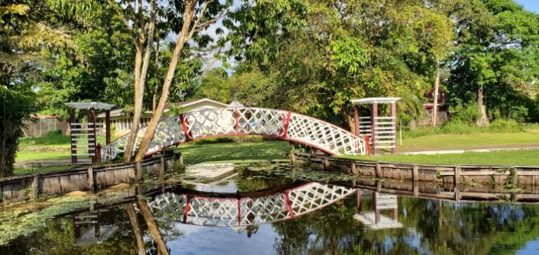 The Kissing Bridge (Botanical Gardens). Guyana, the Land of Many Waters