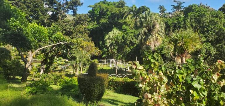 The St. Vincent and Grenadines Botanical Garden. St. Vincent and the Grenadines the Gem of the Antilles