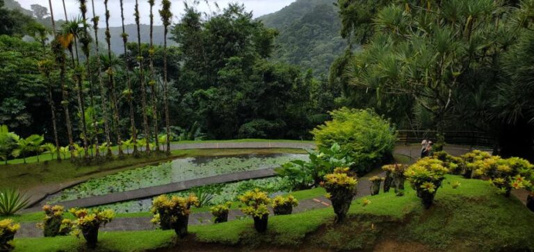The beautiful flowers at the Balata Garden. Martinique, the Caribbean Island of Flowers