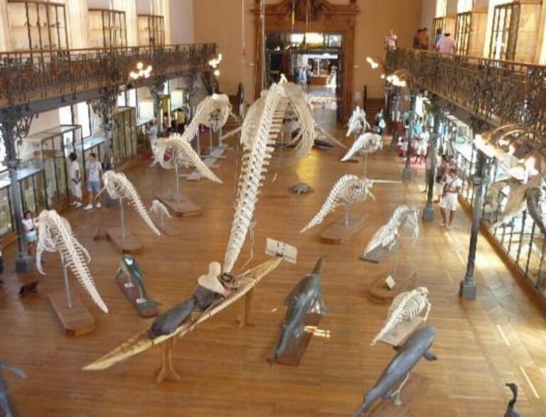 Artifacts inside the Oceanographic Museum of Monaco. Monaco. Monaco, the second-smallest country on earth.