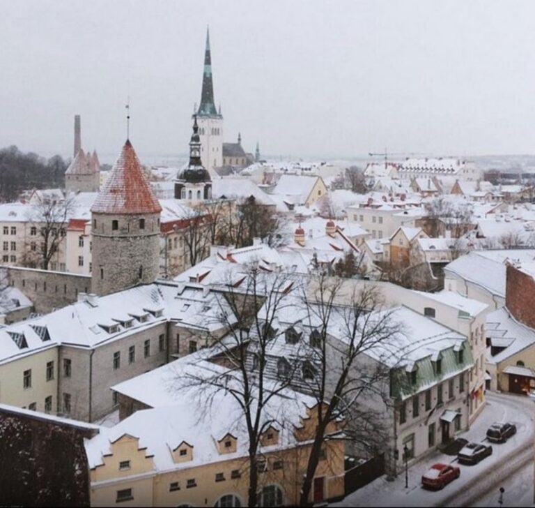 View of the city/Old Town from Toompea Hill. Estonia is the world leader in e-services