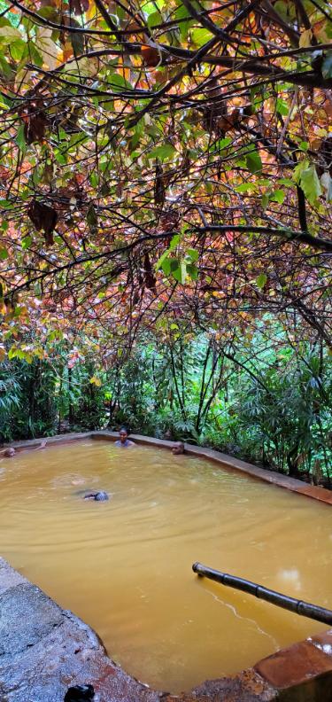 Wotton Waven Sulphur Springs (the brown water is an indicator of the Sulphur in the water, not dirt). Dominica, the Nature Island of the Caribbean.