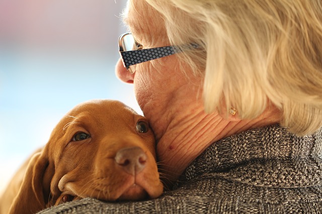 Share the space in your heart and home... adopt a pet and companion today, 25 ways to cope alone during coronavirus lock-down