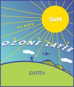 The ozone layer has shrunk and the earth is happier for it. . 20 positives effects of the Covid-19 pandemic